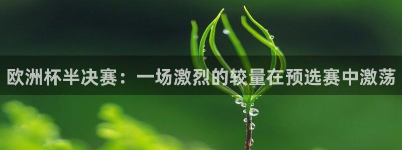 2026世预赛赛程:欧洲杯半决赛:一场激烈的较量在预选赛中激荡