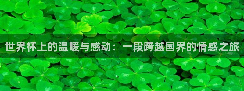 世界杯球队排名:世界杯上的温暖与感动:一段跨越国界的情感之旅