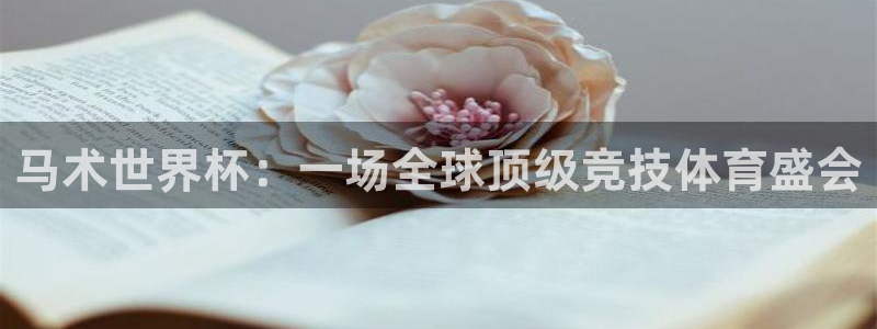 2026年世界杯赛程时间表格:马术世界杯:一场全球顶级竞技体育盛会