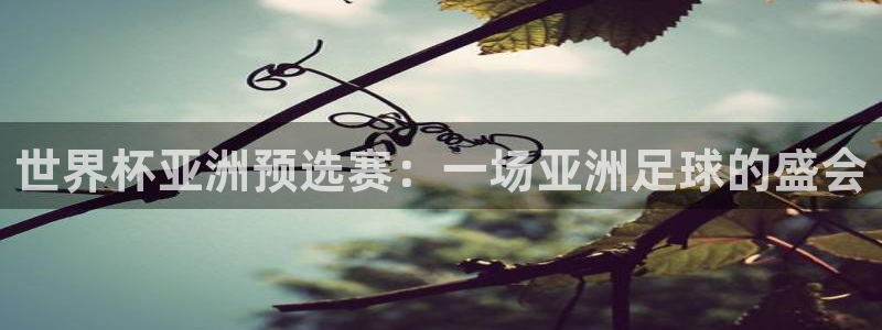 世界杯预赛赛程:世界杯亚洲预选赛:一场亚洲足球的盛会