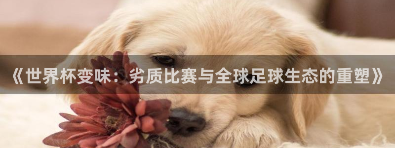 免费足球比赛直播高清:《世界杯变味:劣质比赛与全球足球生态的重塑》