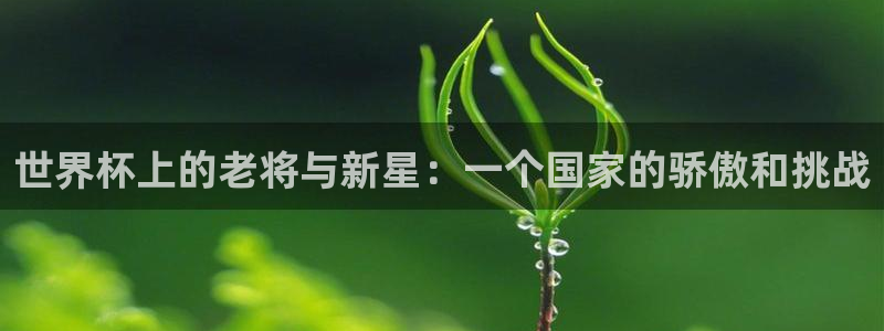 欧洲世预赛赛程表:世界杯上的老将与新星:一个国家的骄傲和挑战
