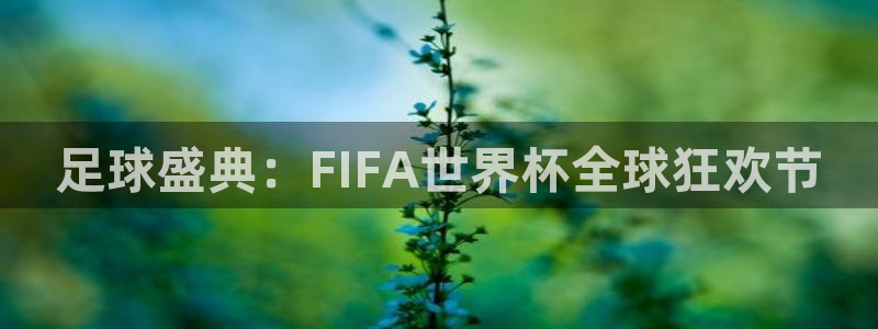 足球杯:足球盛典:FIFA世界杯全球狂欢节