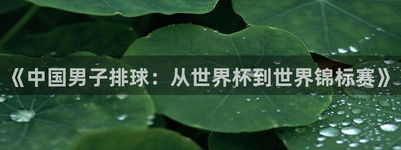 世界杯亚洲区预选赛:《中国男子排球:从世界杯到世界锦标赛》